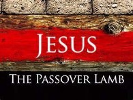 ThePassoverLamb